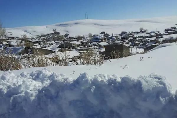 Yeniköy Köyü Muhtarlığı - Mağaza - Erzurum Aşkale