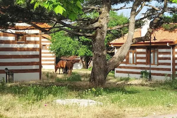 Spil Dağı Milli Parkı - Milli Park - Manisa Ahmetli