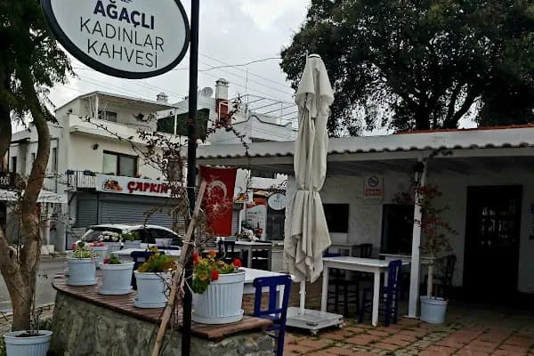 Bitez Cafe &amp; Restaurant - Bodrum Belediye A.Ş. - Kafeterya - Muğla Menteşe