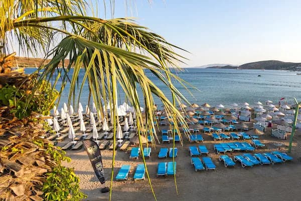 Gümbet Anıl Beach - Otel - Muğla Bodrum