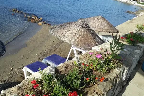 Özgün Cafe Beach - Kumsal - Balıkesir Gömeç