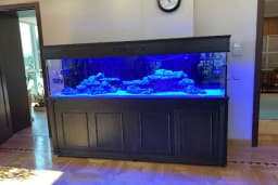 Pasifik PetShop &amp; Akvaryum