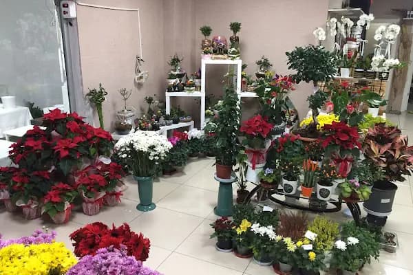 LİFECİTY FLOWERS ( ÇİÇEKÇİLİK ) ANKARA - Çiçekçi - Ankara Çankaya