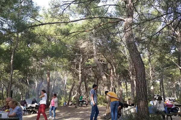Bıçakçılar Park Orman Tesisleri 1968 ' den beri - Eğlence Parkı Etkinliği - İzmir Foça