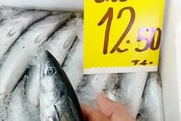 Çerkezköy Balıkçılık