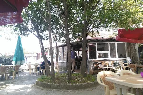 Mevlana Cay Evi - Kafe - Samsun 19 Mayıs