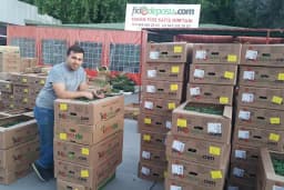 fidedeposu.com