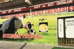 SAF SÜT ENGİZ MUHTEŞEM TEREYAĞ