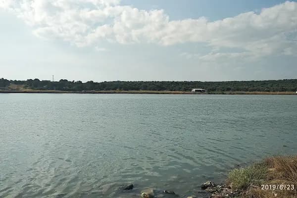 Eski Tuzla Gölü - Göl - İzmir Kemalpaşa