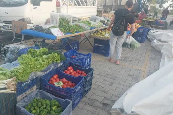 Pazar Alanı - Pazar - Antalya Finike