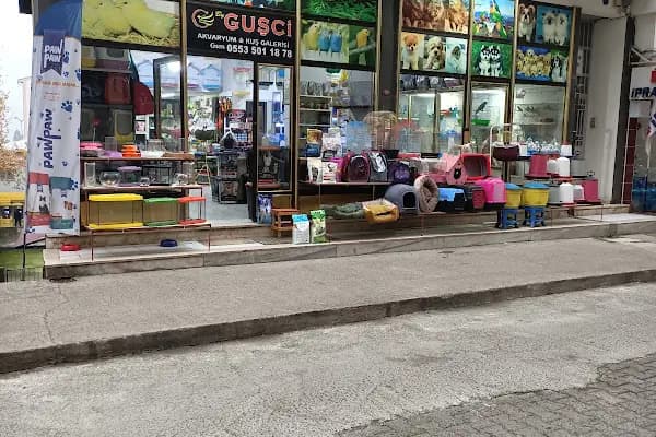 By Guşci Petshop Petmarket - Evcil Hayvan Malzemeleri Mağazası - Trabzon Ortahisar