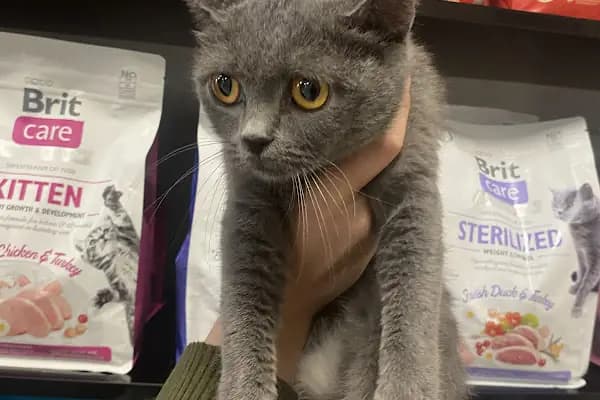 🐶🐱DİYARBAKIR ÖZEL VETERİNER KLİNİĞİ🐶🐱 - Hayvan Kurtarma Hizmeti - Diyarbakır Bağlar