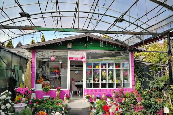 Jasmine's Garden - Çiçekçi - Kocaeli Başiskele