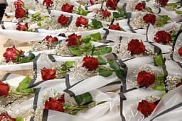GÜLCE FLOWERS çiçekçi serdivan
