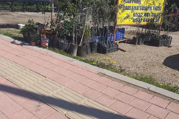 Duygu Halı Temizleme - Halı Temizleme Hizmeti - Antalya Alanya