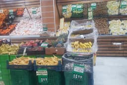 Elit Avm