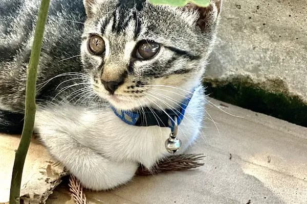 Derya Budak Fotografcilik - Fotoğraf Laboratuvarı - Muğla Bodrum