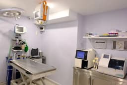 Yeşilköy Petiatri Pet ve Kuş Veteriner Kliniği