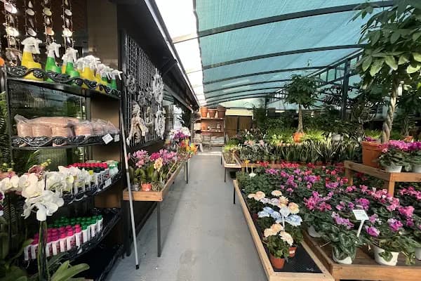 Maki Garden Centre - Çiçekçi - Antalya Alanya