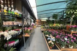 Maki Garden Centre