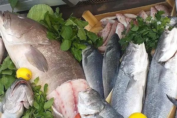Marin balik - Balık Restoranı - İstanbul Beylikdüzü