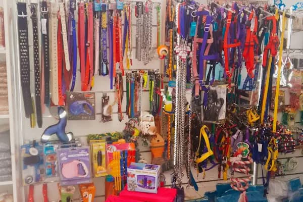 Balçova Pet Shop - Evcil Hayvan Malzemeleri Mağazası - İzmir Balçova