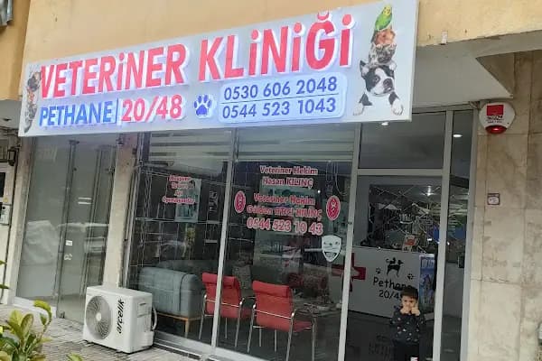 Denizli pethane 20/48 veteriner kliniği - Acil Durum Veterinerlik Hizmeti - Denizli Acıpayam