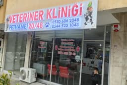 Denizli pethane 20/48 veteriner kliniği