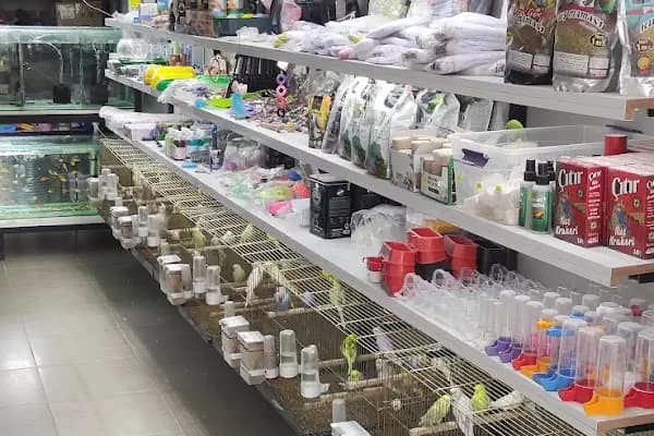 15 TEMMUZ PETSHOP ceylanpinar - Evcil hayvan mağazası - Şanlıurfa Bozova