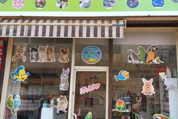ibrahimli petshop - Evcil Hayvan Malzemeleri Mağazası - Gaziantep Şahinbey