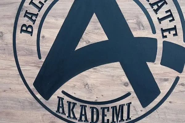 BALIKESİR KARATE AKADEMİ - Karate Okulu - Balıkesir Burhaniye