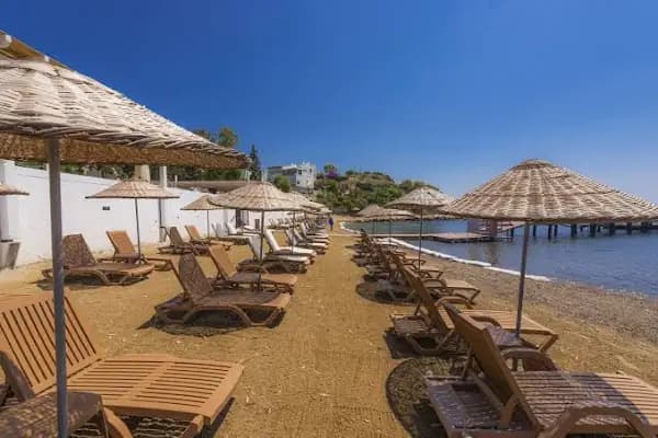 LİV OTEL - Otel - Muğla Bodrum