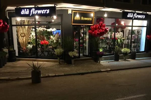 Ala flowers çiçekçilik - Çiçekçi - Bursa Kestel