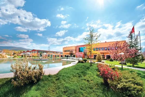 Çilek Fabrika - Üretici - Bursa İnegöl