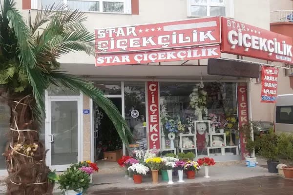 Star Çiçekçilik - Çiçekçi - Ankara Pursaklar
