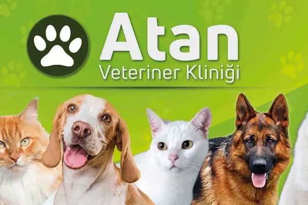 ATAN VETERİNER KLİNİĞİ - Veteriner - Konya Selçuklu