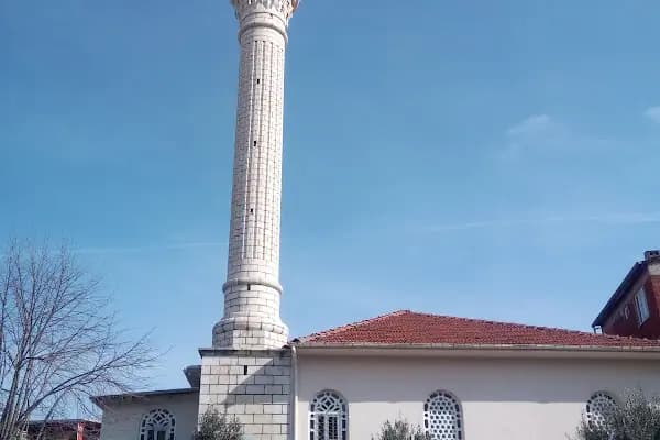 Cami