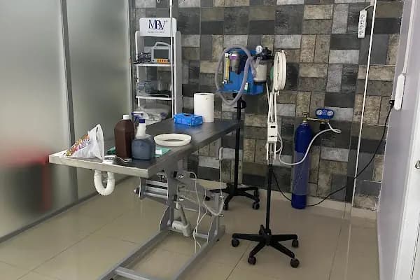 Yazlık Veteriner kliniği - Veteriner İlaçları - Sakarya Kaynarca