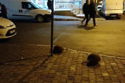 Barbaros Odun Ekmeği