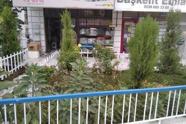 İrem Akvaryum - Evcil hayvan mağazası - Ankara Beypazarı