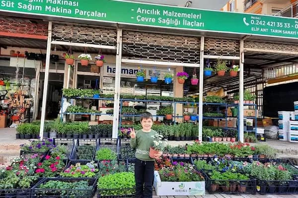 Elif Tarım - Tarımsal Hizmet Sağlayıcısı - Antalya Alanya
