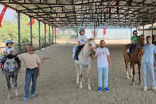 MERSİN BİNİCİLİK - At Binme Hizmeti - Mersin Mezitli