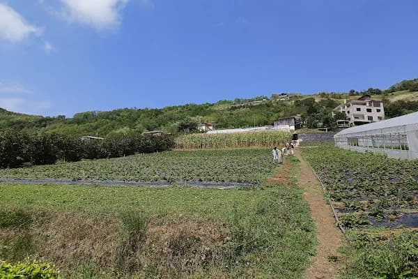 Acısu Solucan - Gübre Tedarikçisi - Trabzon Akçaabat