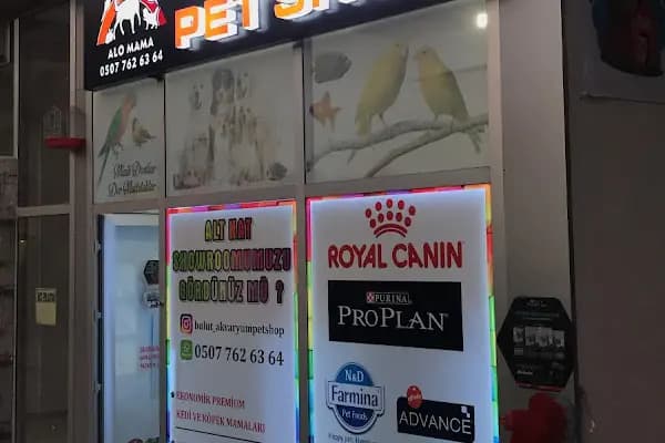 BULUT PET SHOP - Evcil hayvan mağazası - Ankara Mamak