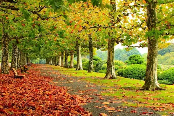 Spor Parkı - Park - Mersin Toroslar