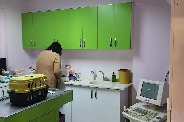 Petzilla Veteriner Muayenehanesi - Veteriner - Bursa İznik