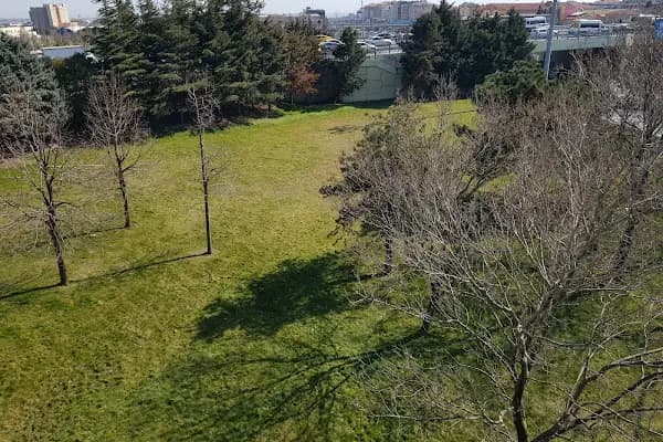 Avcılar Cami - Otobüs Durağı - İstanbul Avcılar