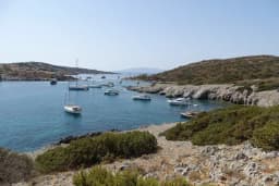 Akvaryum Bodrum