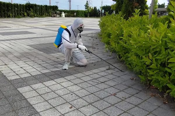reso İlaçlama / Çerkezköy / Çorlu / kapaklı / saray / Tekirdağ / İstanbul - Haşere İlaçlama Hizmeti - Tekirdağ Çerkezköy