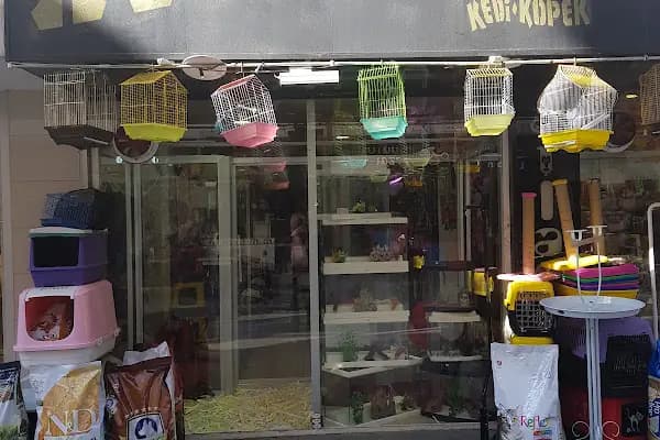 Atlantis Pet Shop - Evcil hayvan mağazası - Sakarya Adapazarı